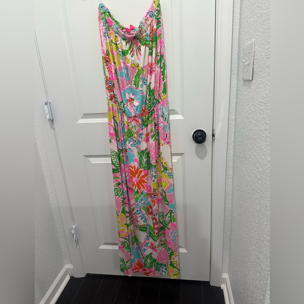 Lilly Pulitzer Nosy Posy dress Vibrant Floral Maxi Dress - Pink & Green
